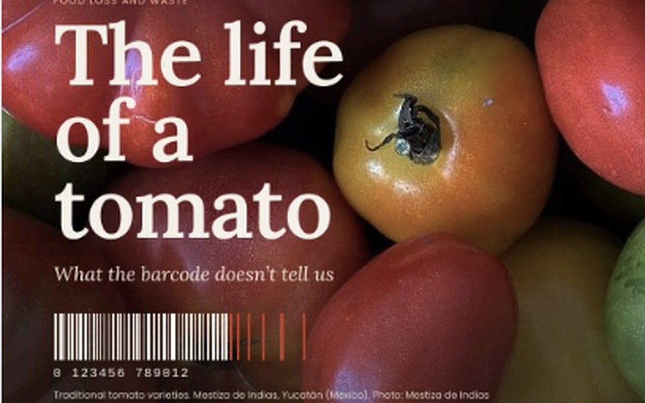 Food Journal: La vita di un pomodoro