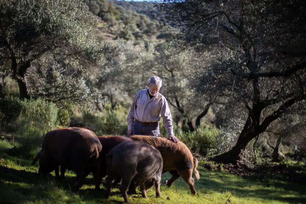 Fotografia di Dehesa Maladúa