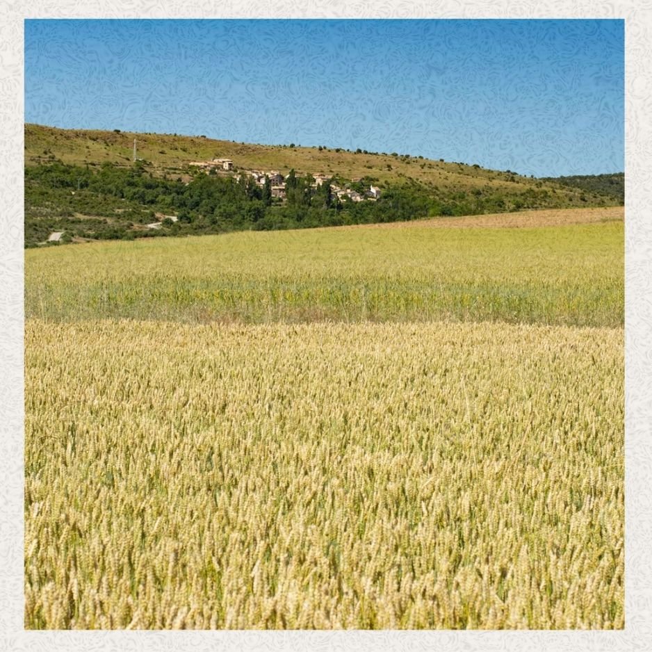 Fotografia di Despelta