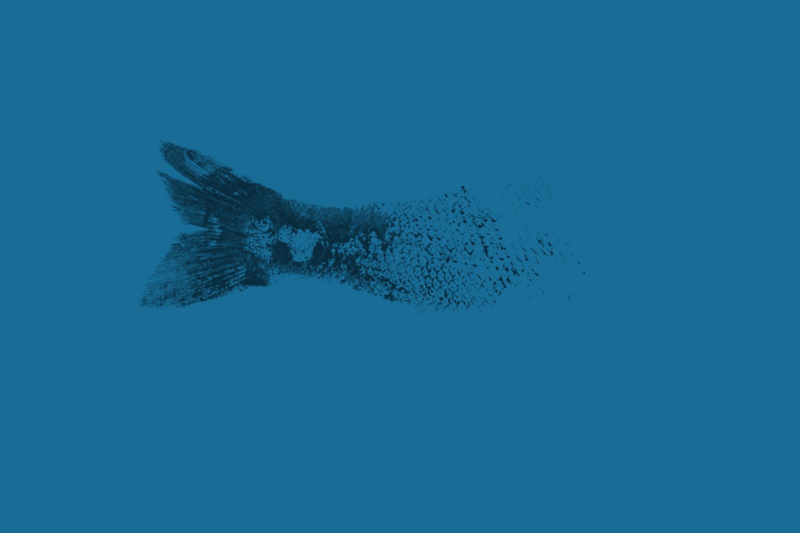 Fotografia di Empesca't