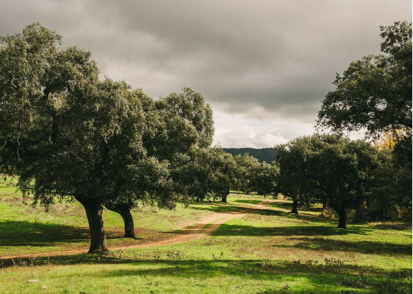 Fotografia di La Patería de Sousa